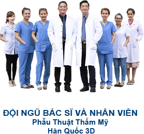 doi-ngu-bac-si-han-quoc-3d
